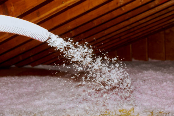 Best Spray Foam Insulation in Elmwood, IL