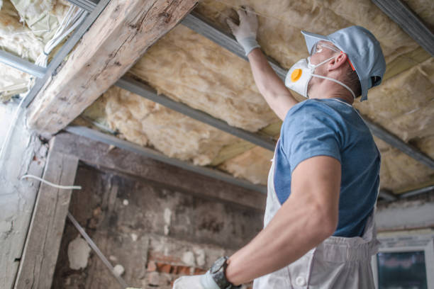 Best Commercial Insulation in Elmwood, IL